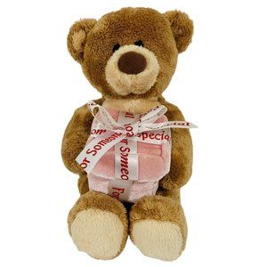 Gund Giving Bear Someone Special Plush Stuffed Animal Gift Box for Special Item
